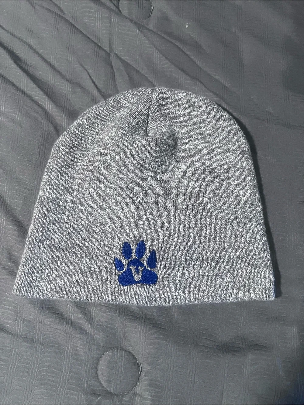 Kids Gray Knit Beanie with Blue Paw Accent